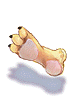 Tiger's Footskin