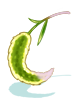 Long Foxtail Staff