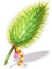 Foxtail Model