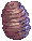 Pupa
