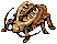 Golden Thief Bug