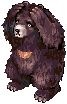 Zipper Bear