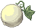 Gourd