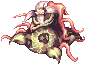 Mandragora