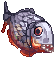 Piranha