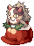 Socks Stealing Raccoon