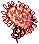 Sea Anemone